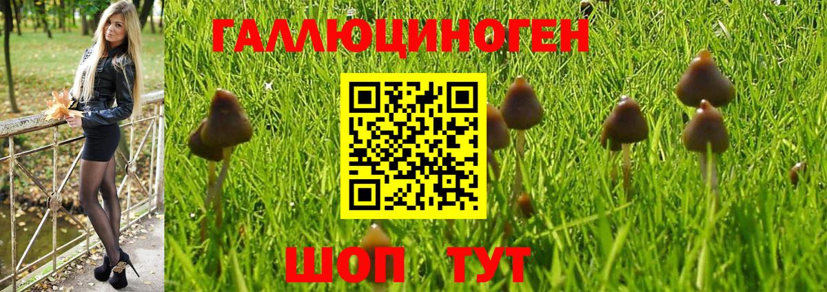 Галлюциногенные грибы Magic Shrooms  Вход с VPN  Сызрань 